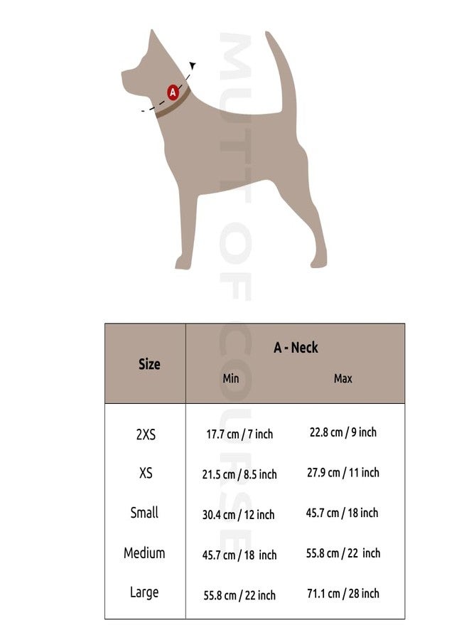 Mutt of Course طوق الغابة للكلاب (متوسط) - Image 3